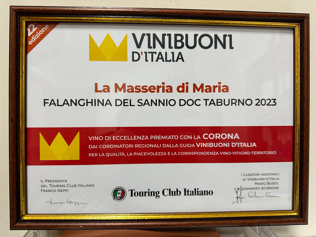 ViniBuoni D’Italia