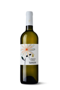 Campania Falanghina