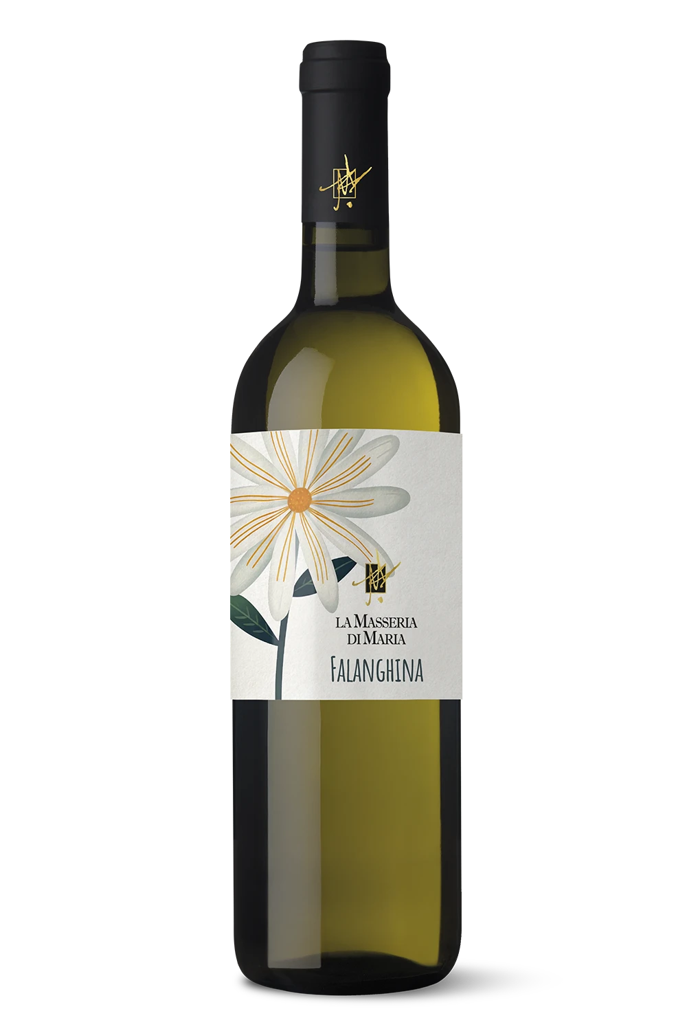 Campania Falanghina